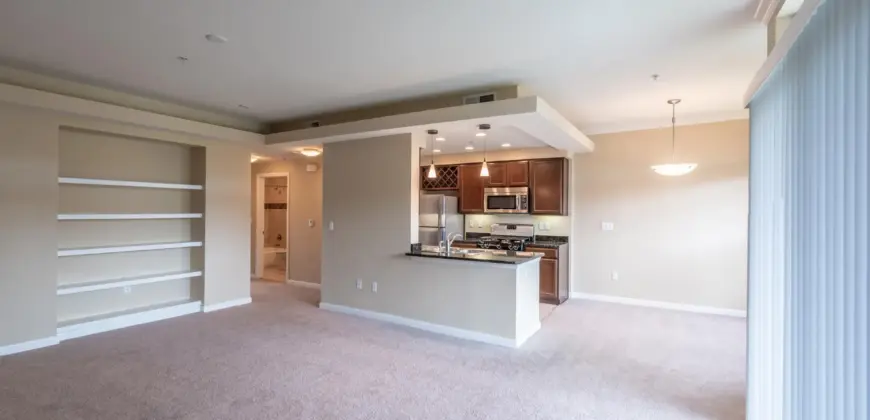 Sync At Purgatory Creek