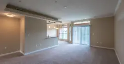 Sync At Purgatory Creek