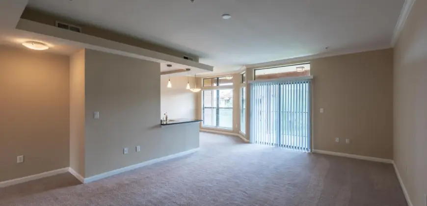 Sync At Purgatory Creek