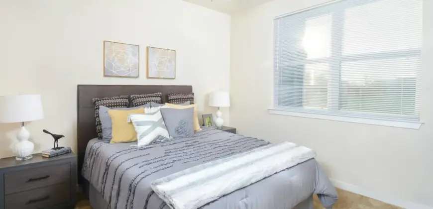 Terrace At Walnut Creek