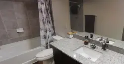 The Apex