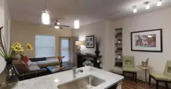 The Apex