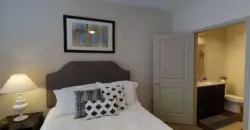The Apex