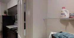 The Apex