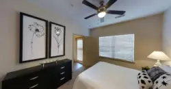 The Apex