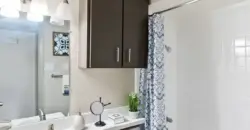 The Ascent
