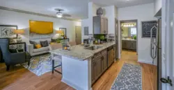 The Aster Sugar Land