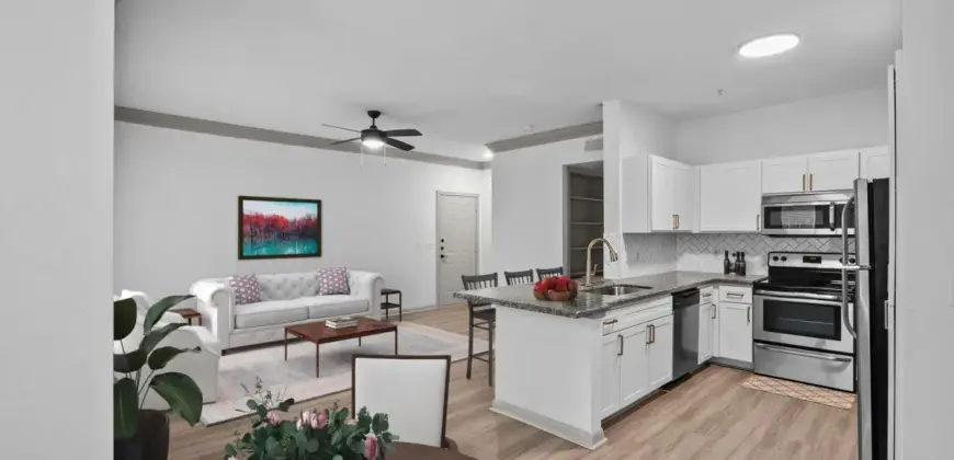 The Aster Sugar Land