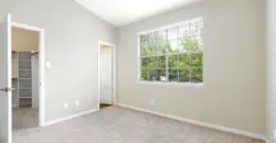 The BLVD At Town Lake