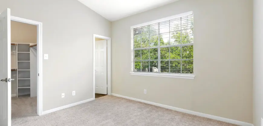 The BLVD At Town Lake