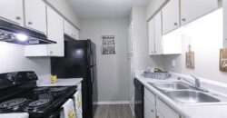 The Bridge At Terracina