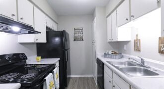 The Bridge At Terracina