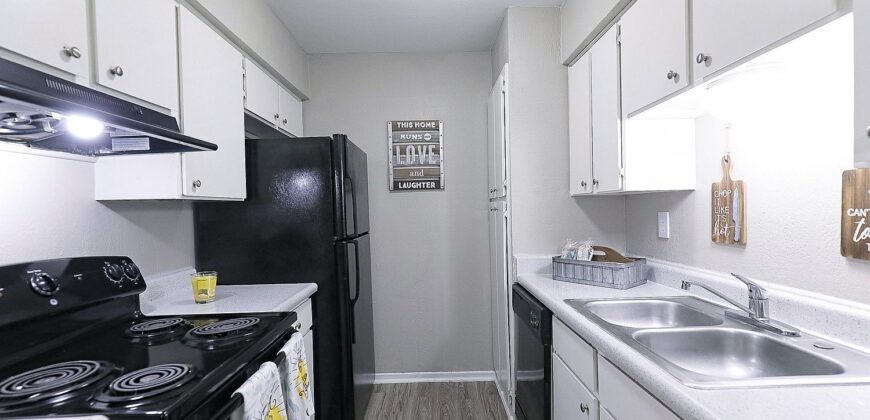 The Bridge At Terracina