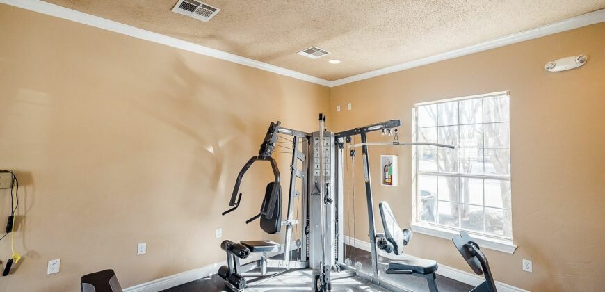 The Bridge At Volente