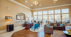 The Bridge At Volente