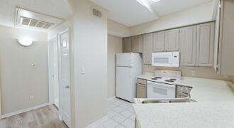 The Bridge At Volente