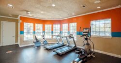 The Bridge At Volente