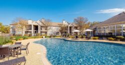 The Bridge At Volente