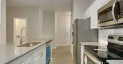 The Chase