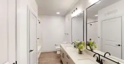 The Chloe