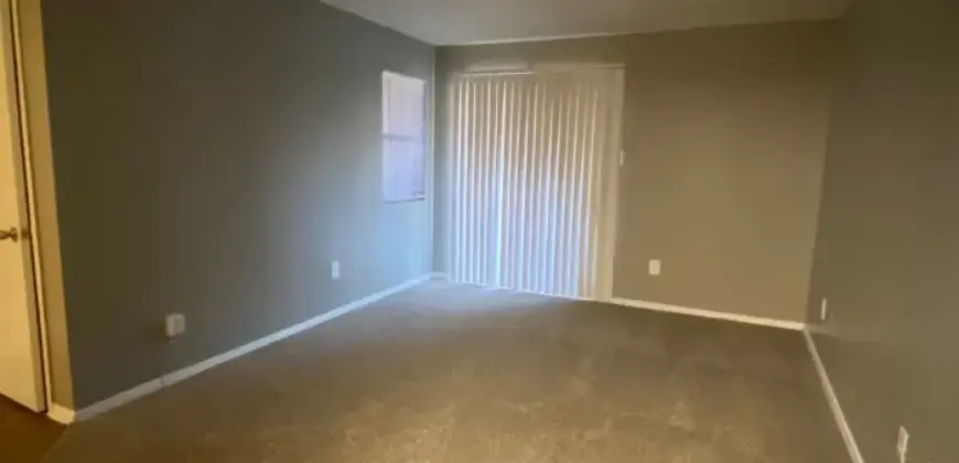 The Club At Springlake