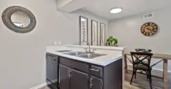 The Colony