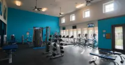 The Commons At Hollyhock