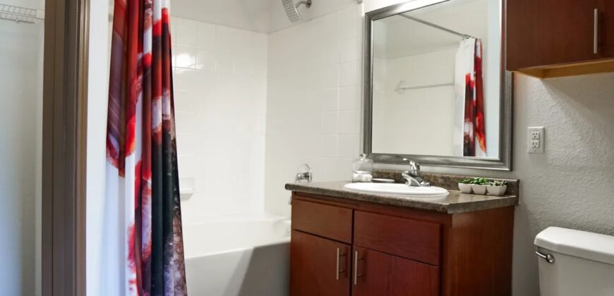 The Cove At Saddle Creek