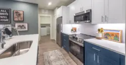 The Davy At The Grid