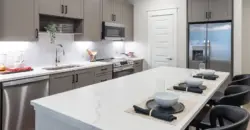 The Davy At The Grid