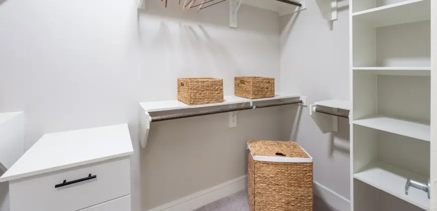 The Davy At The Grid