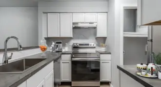 The Ellis On Solon