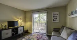 The Falls At Clear Lake