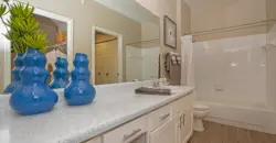 The Falls Round Rock