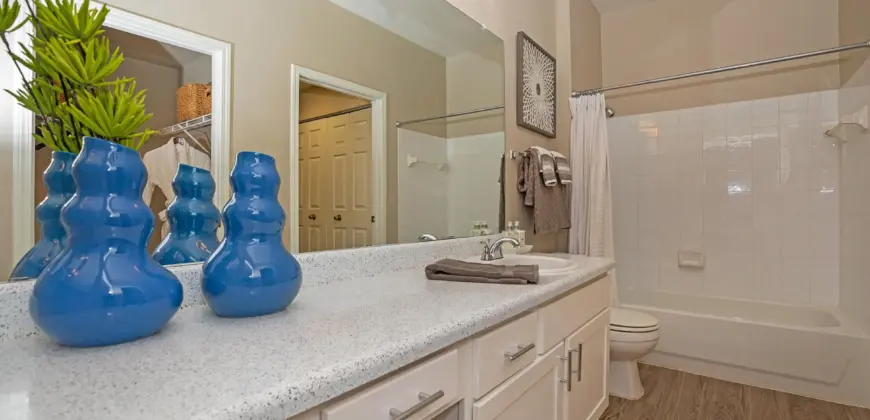 The Falls Round Rock