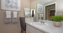 The Falls Round Rock