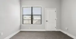 The Fitz