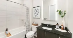 The Flats At River North