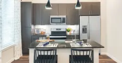 The Flats At River North