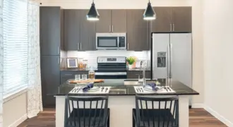 The Flats At River North