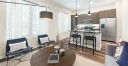 The Flats At River North