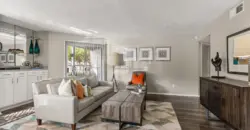The Georgian