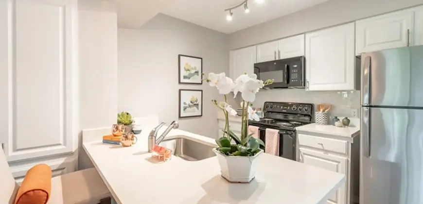 The Grove At Northwest Hills