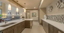The Hamilton