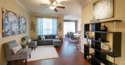 The Lakes At Cinco Ranch