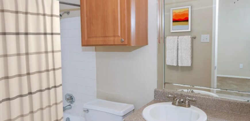 The Lakes At Renaissance Park