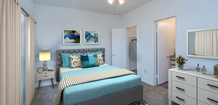 The Lakes At Renaissance Park