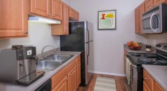 The Lakes At Renaissance Park