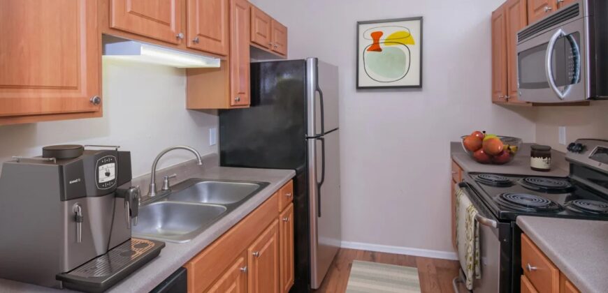 The Lakes At Renaissance Park