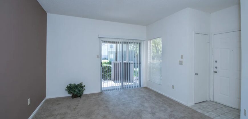 The Lakes At Renaissance Park